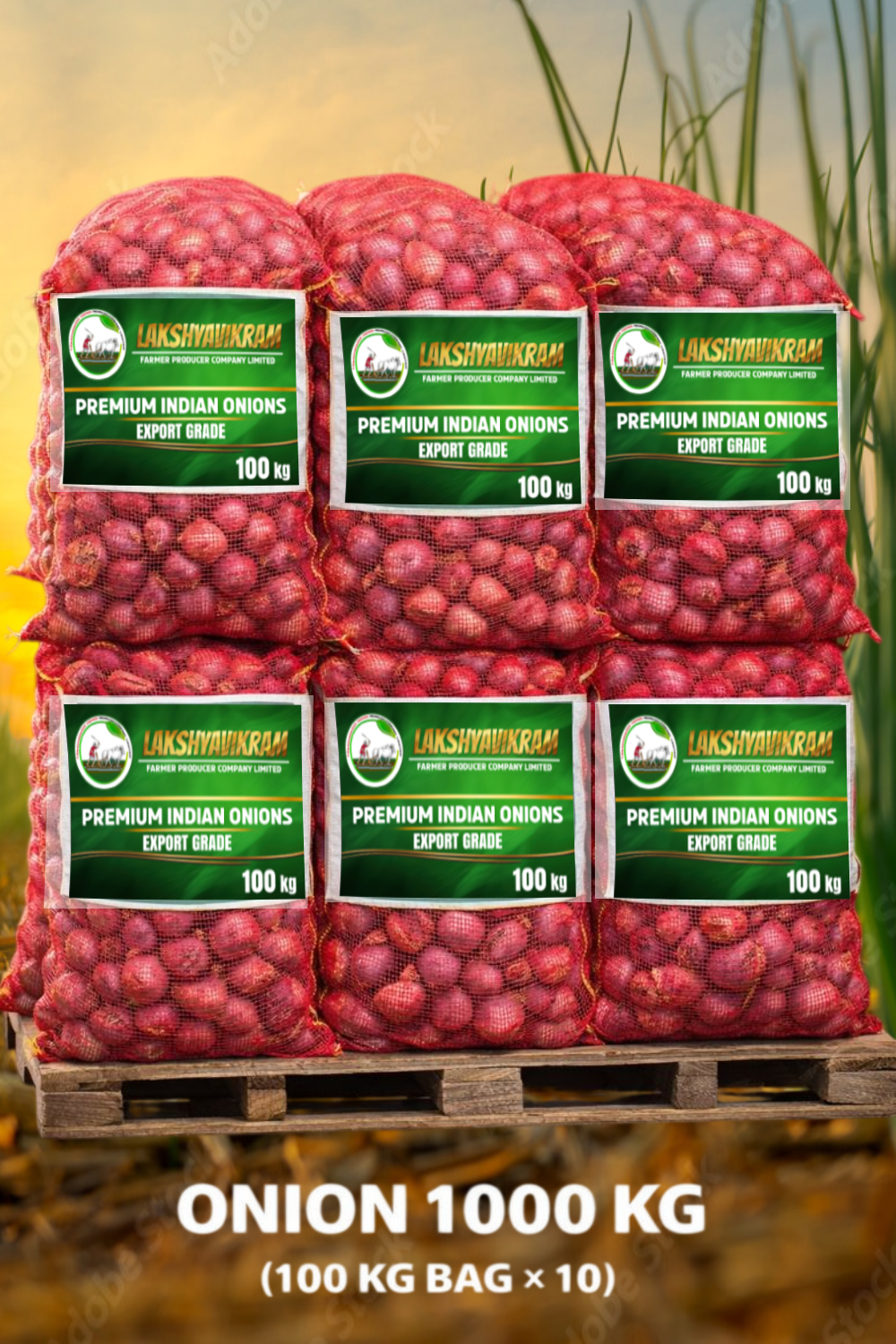 Red Onion Bag 1000 Kg