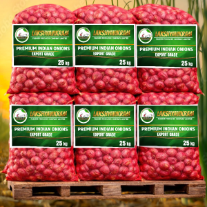 Red Onion Bag 250 Kg