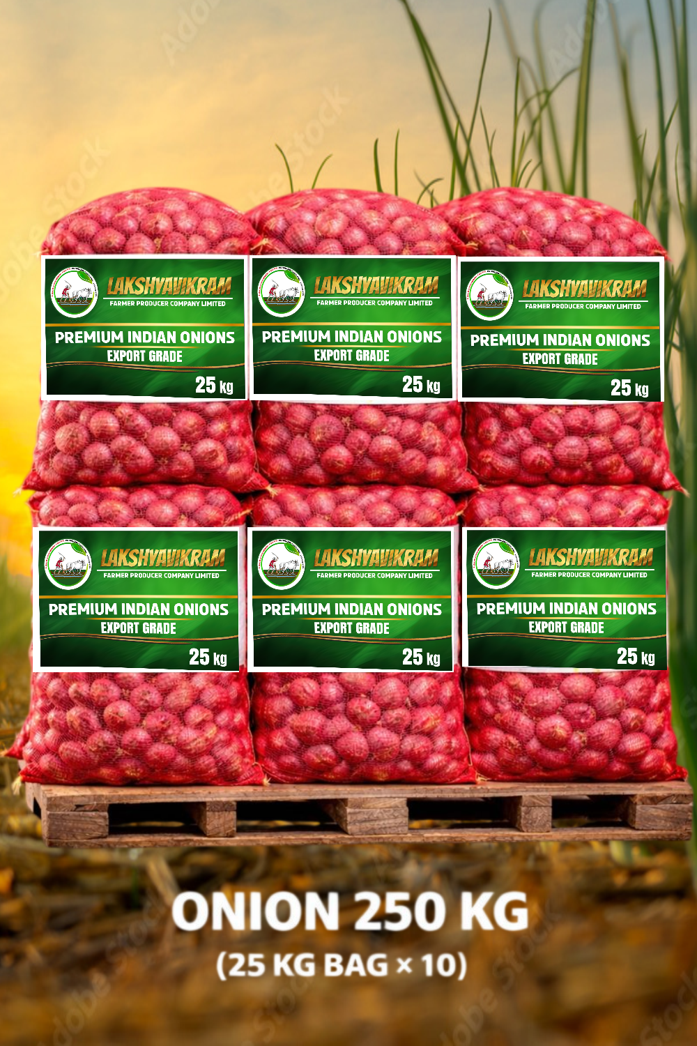 Red Onion Bag 250 Kg